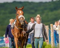 Race 7 - Div 1 - Open Maiden (12 of 94).jpg