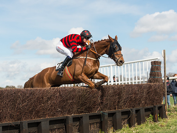Race 2 - Confined Hunts Race (63 of 87).jpg