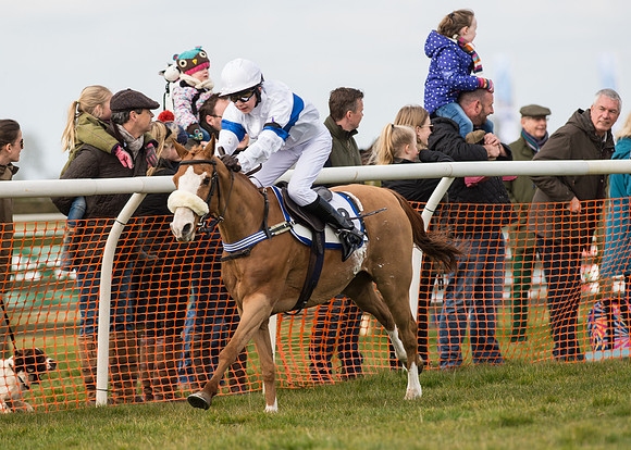 Pony Race 1 - 138cm -93