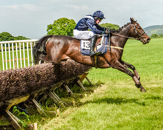 Race 3 - The Intermediate Race (50 of 97).jpg