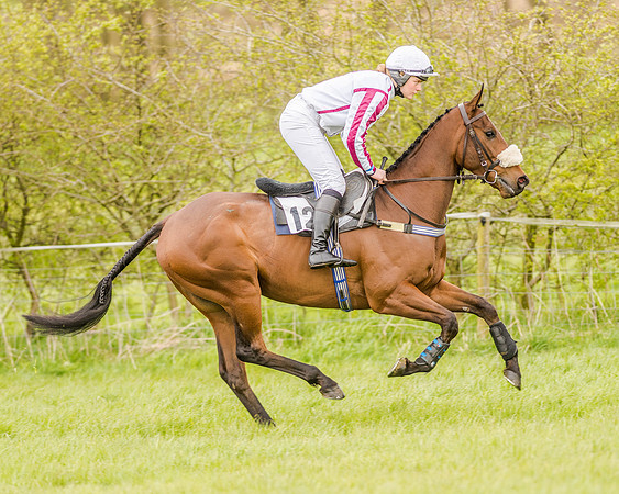 Race 2 - Open Maiden  (62 of 170).jpg