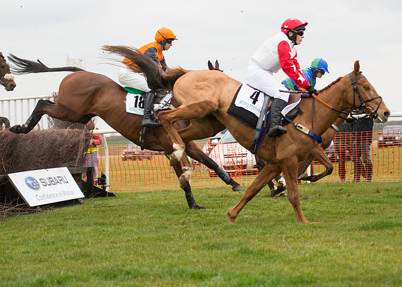 Race 6 - Confined Hunts-49