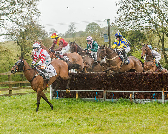 Race 5 - Restricted Race (54 of 146).jpg