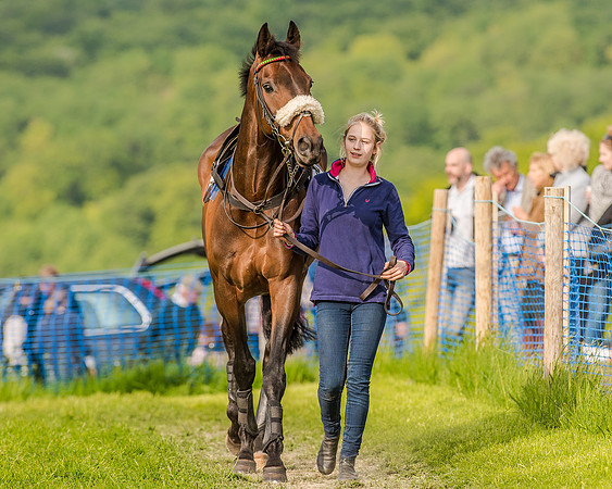 Race 7 - Div 2 - Open Maiden (31 of 163).jpg