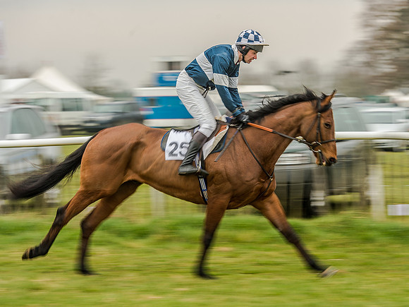 Race 5 - Open Maiden Division 2 (32 of 112).jpg