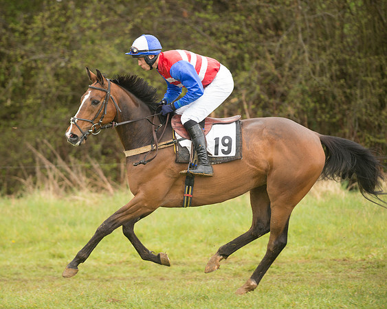 Race 5 - Open Maiden (49 of 147).jpg