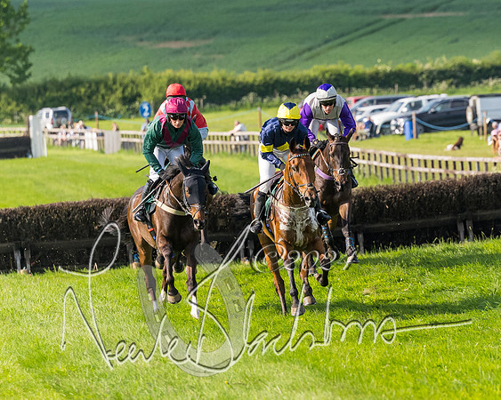 Race 6 - Owner trainer conditions (133 of 272)