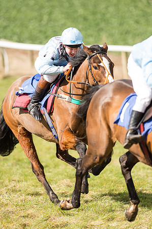 Pony Race 2 - 148cm  (30 of 49).jpg
