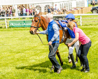 Pony Race 1  (16 of 99).jpg