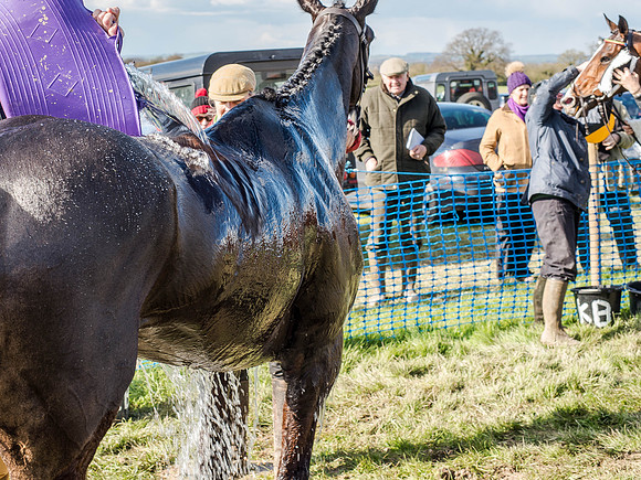 Race 5 - The Southern Grand national (85 of 96).jpg