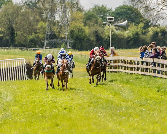 Pony Race 2 (41 of 57).jpg