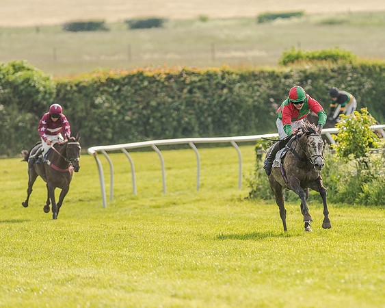 Race 7 - Div 1 - Open Maiden (64 of 94).jpg