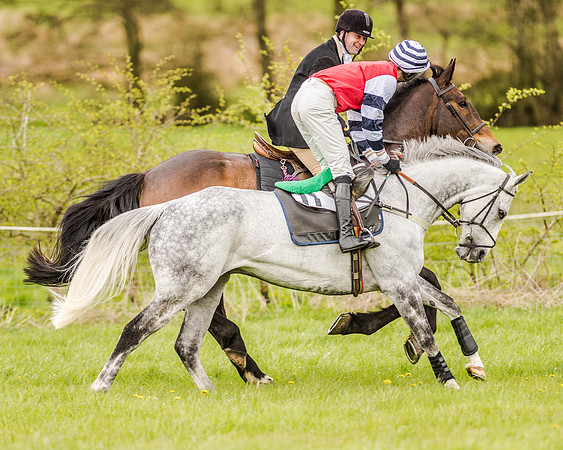 Race 2 - Open Maiden  (43 of 170).jpg
