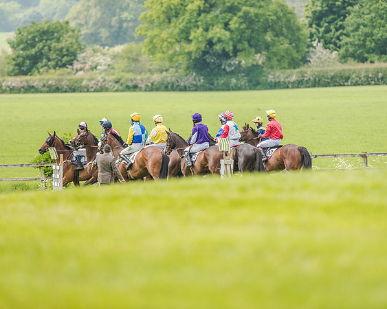 Race 2 - PPORA Members Novice Riders  (30 of 112).jpg