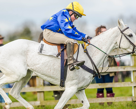 Pony Race 2 (61 of 77).jpg