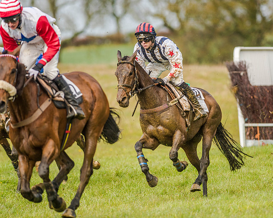 Race 5 - Open Maiden (104 of 147).jpg