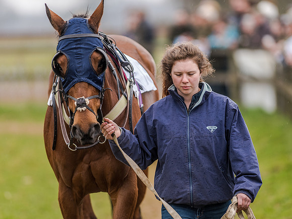 Race 5 - Open Maiden Division 2 (26 of 112).jpg
