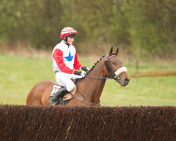 Race 5 - Open Maiden (34 of 147).jpg