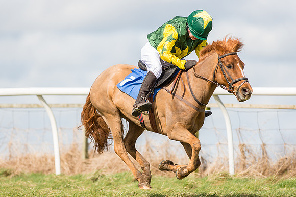 Pony Race 1 - 138cm  (46 of 57).jpg
