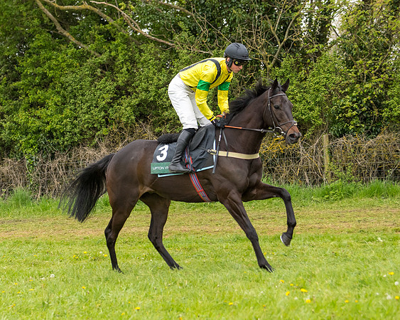 Race 7 - Open Maiden  (29 of 106)