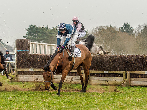 Race 5 - Open Maiden Division 2 (66 of 112).jpg