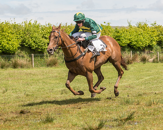 Pony Race 2  (9 of 33).jpg