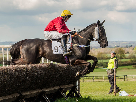 Race 5 - The Southern Grand national (25 of 96).jpg