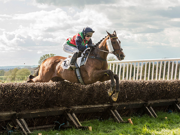 Race 5 - The Southern Grand national (47 of 96).jpg