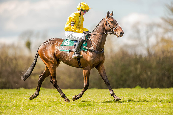 Pony Races (9 of 127).jpg