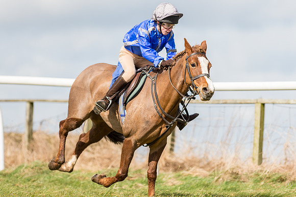 Pony Race 1 - 138cm  (41 of 57).jpg