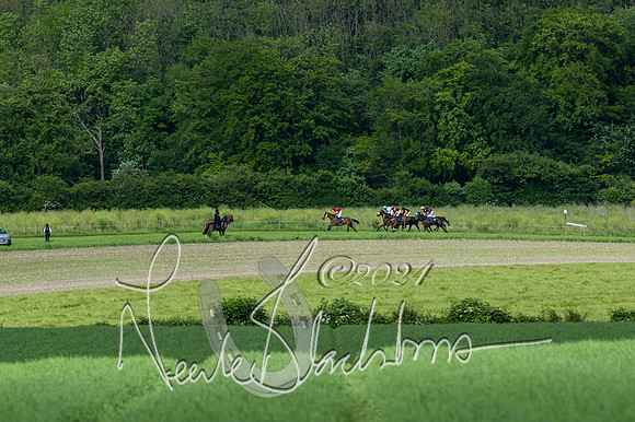 Race 5 - Restricted Race (240 of 434)