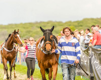 Race 6 - Open Maiden (11 of 130).jpg