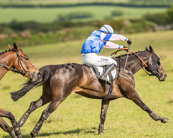Race 6 - Open Maiden Race (67 of 71).jpg