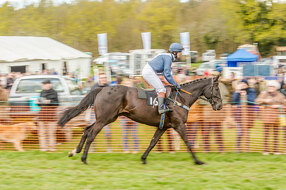 Race 2 - Ladies Open  (40 of 124).jpg