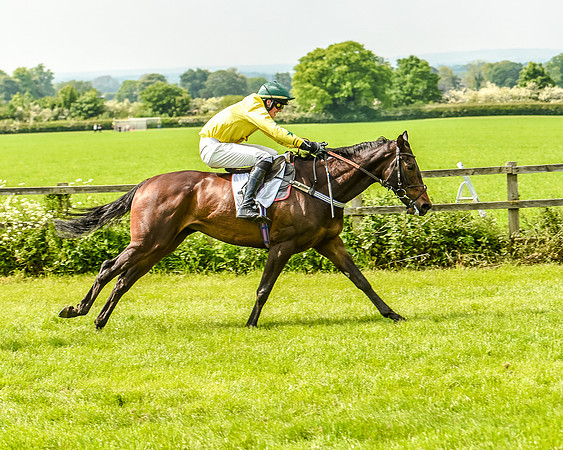Race 3 - The Intermediate Race (78 of 97).jpg