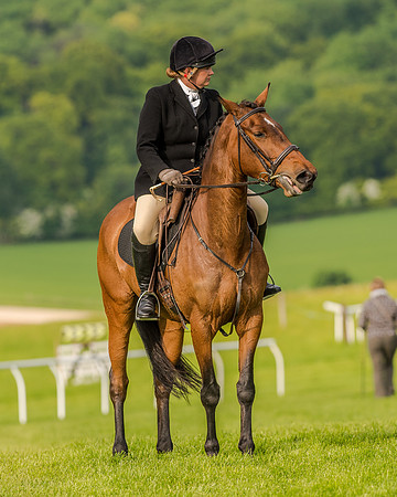 Race 7 - Div 2 - Open Maiden (38 of 163).jpg