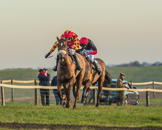 Race 6 - 4 5 6 yr old 2m4f Maiden Race-73