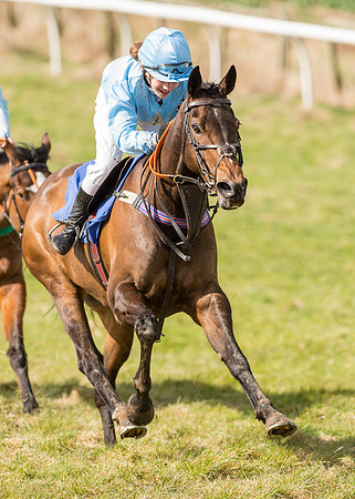 Pony Race 2 - 148cm  (27 of 49).jpg