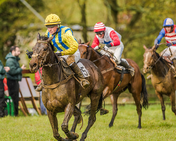 Race 5 - Open Maiden (115 of 147).jpg