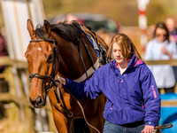 Race 5 - Mens Open [Nov-Vet] (20 of 68).jpg