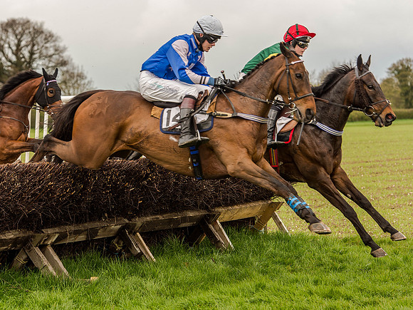 Race 1 - Confined Hunts (55 of 118).jpg