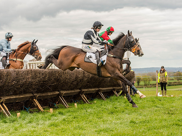 Race 3 - Young Horse maiden 2m5f (64 of 124).jpg