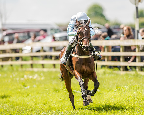 Pony Race 3 (40 of 56).jpg