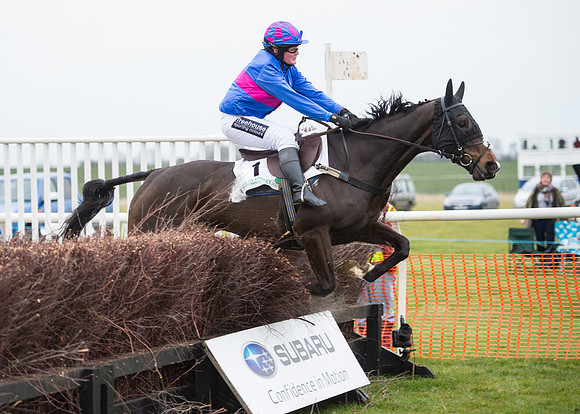 Race 7 - PPORA Novice Riders-65