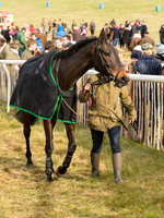 Race 6 - Open Maiden (11 of 110).jpg