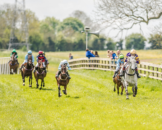 Pony Race 3 (30 of 56).jpg