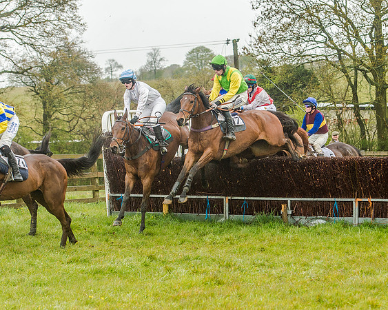 Race 5 - Restricted Race (60 of 146).jpg