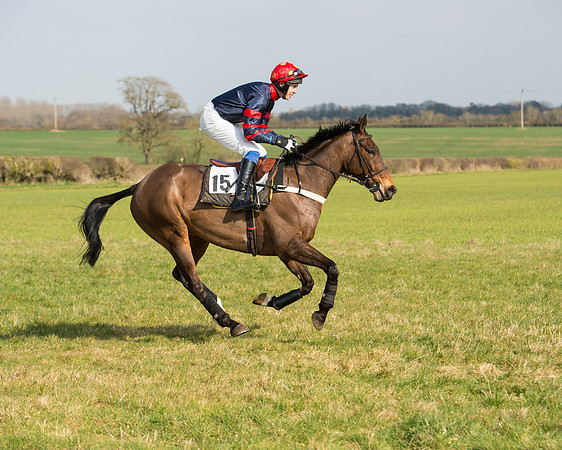 Race 2 - COnfined Hunts race (24 of 144).jpg