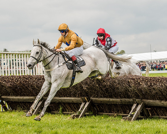 Race 1 - Hunt Members (48 of 87).jpg