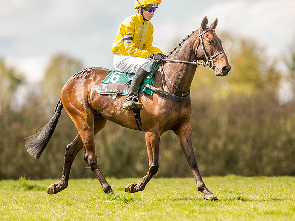 Pony Races (79 of 127).jpg